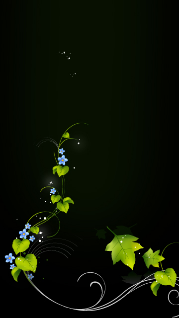 Nokia 5800 Flower Themes Free Download