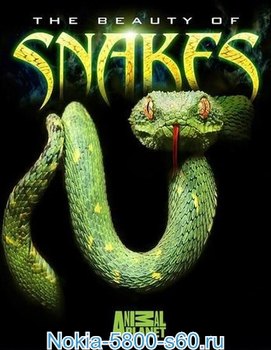 Красота Змей / Beauty of Snakes